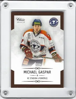 Gaspar Michael OFS Chance Liga 2018-19  č.213
